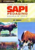 USAHA PENGGEMUKAN SAPI PEDAGING SECARA INTENSIF